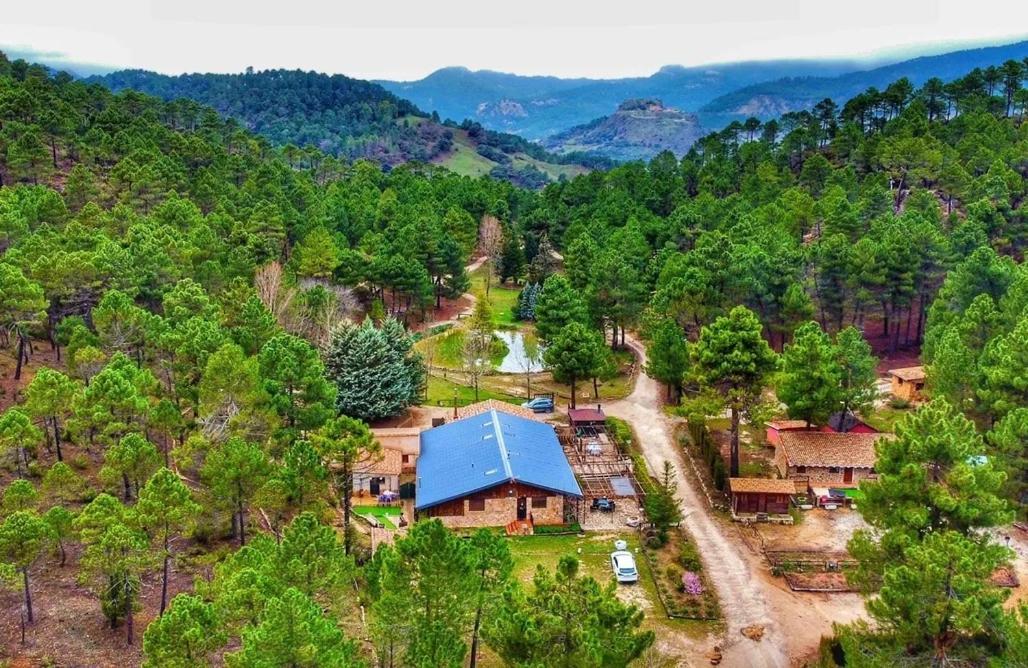 Chalet Campanilla Riópar